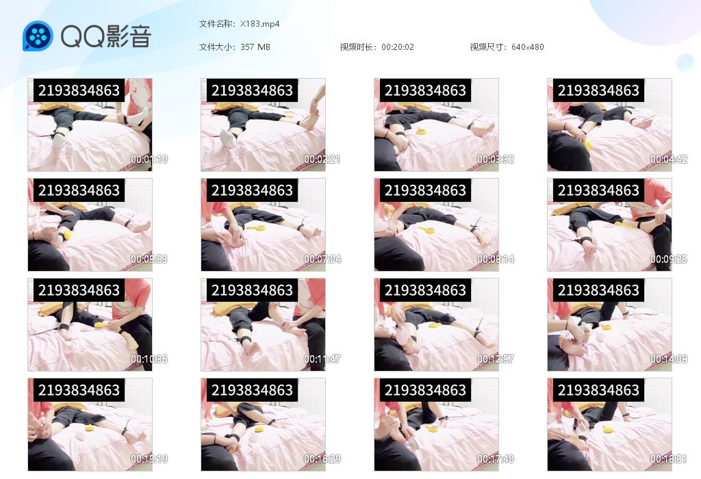 X183[20260206-123656].jpg