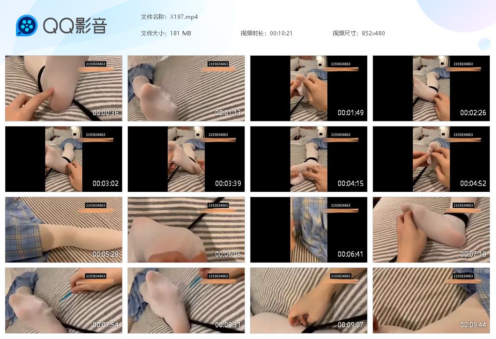 X197[20260210-122404].jpg
